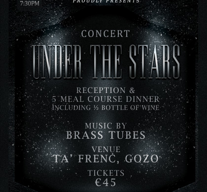 Concert Under the Stars